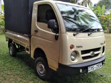 Tata Dimo Batta ACE 2011 Lorry