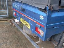 Tata Dimo Batta 2016 Lorry