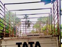 Tata 713 2010 Lorry