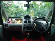 Tata Nano 2011 Car
