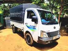 Tata Super Ace MINT Lokka 2019 Lorry