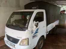 Tata Dimo Batta Ace 2012 Lorry