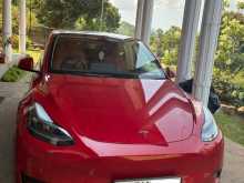 Tesla Model Y 2023 Car