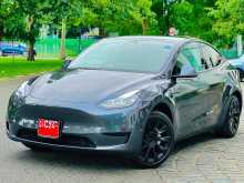 Tesla MODEL Y 2024 Car