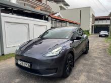 Tesla Model Y 2023 Car