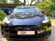 Tesla Model Y 2024 Car