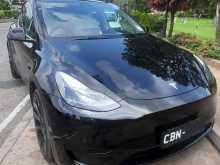 Tesla Model Y 2024 Car