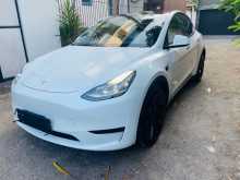 Tesla Y 2024 SUV