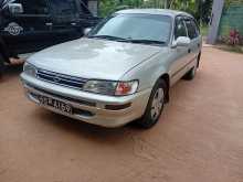 Toyota Corolla Elephant Back 1996 Car