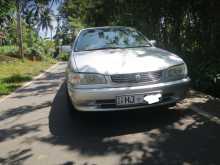 Toyota Corolla 2000 Car