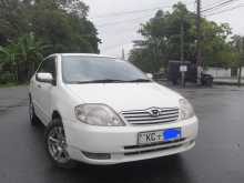 Toyota Corolla 121 2003 Car