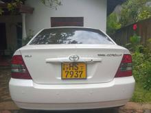 https://riyasewana.com/uploads/toyota-121-2003-312246291266240.jpg