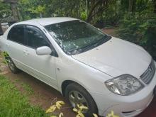 Toyota Corolla 121 2003 Car