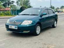 Toyota Corolla 121 2002 Car