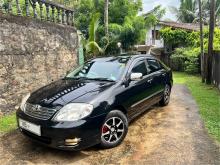 https://riyasewana.com/uploads/toyota-121-g-267101317015.jpg