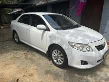 Toyota Corolla 141 2008 Car