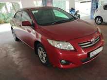 Toyota Corolla 141 2008 Car