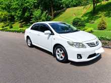 Toyota 141 Limited Edition 2010 Car