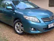 Toyota 141 LX 2008 Car
