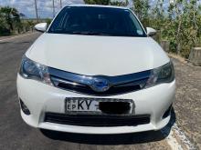 Toyota Axio 2014 Car