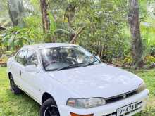 Toyota Corolla AE100 1992 Car