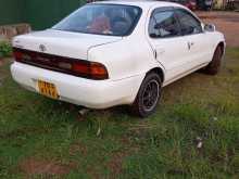https://riyasewana.com/uploads/toyota-ae-100-1992-286542912333.jpg
