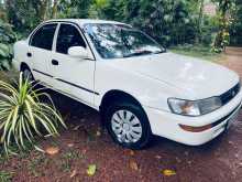 Toyota AE100 101 1992 Car