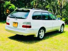 Toyota AE100 Elephant Back Corolla L Touring 2000 Car