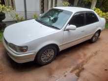 Toyota AE110 Xe Saloon 1996 Car