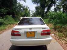 Toyota AE110 SE SALON RIVERA 1999 Car