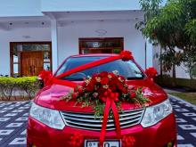 Toyota Allion 260 2007 Car