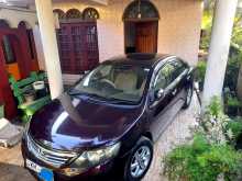 Toyota Allion 2010 Car