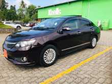 Toyota Allion 2010 Car