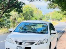 Toyota Allion 2014 Car
