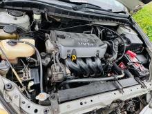 https://riyasewana.com/uploads/toyota-allion-240-61031126854.jpg