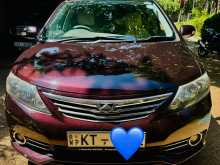 Toyota Allion 260 2010 Car