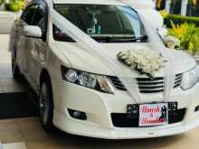 Toyota Allion 260 2008 Car