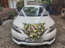 https://riyasewana.com/uploads/toyota-allion-260-251518046886.jpg