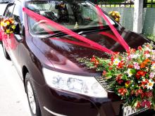 https://riyasewana.com/uploads/toyota-allion-260-2516000010126.jpg