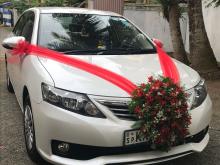 Toyota Allion 2013 Car