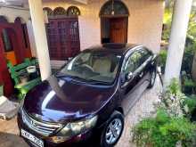 Toyota Allion 2010 Car