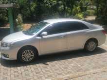 Toyota Allion 2010 Car