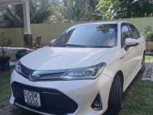 Toyota Axio 2018 Car