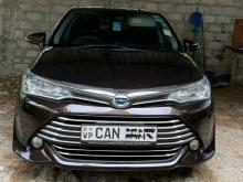 Toyota Axio 2015 Car