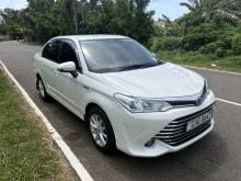 Toyota Axio 2015 Car
