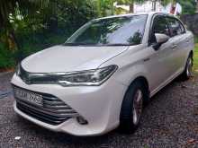 Toyota Axio G Grade 2015 Car