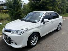 Toyota Axio 2015 Car