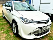 Toyota Axio 2015 Car