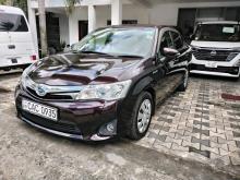 Toyota Axio 2014 Car