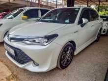 Toyota Axio 2017 Car
